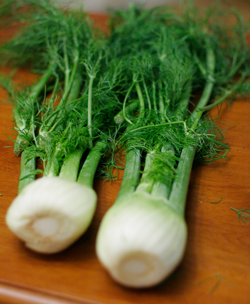 Fresh Fennel Bulbs with Stems and Fronds