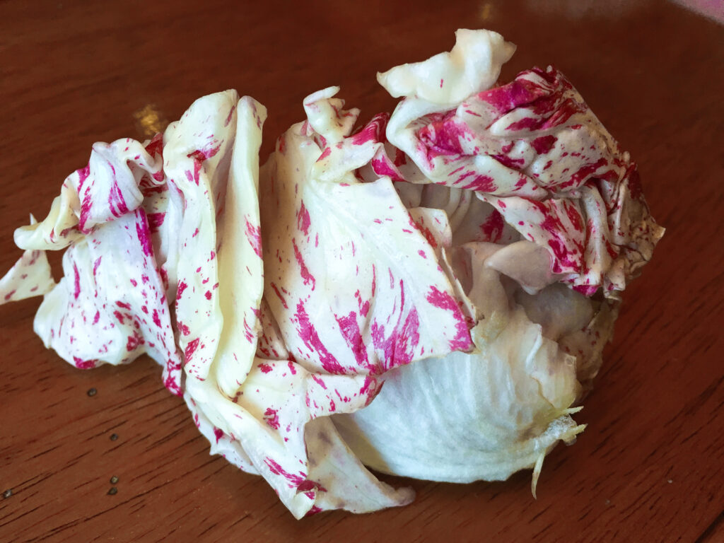 Castelfranco Radicchio White and Magenta