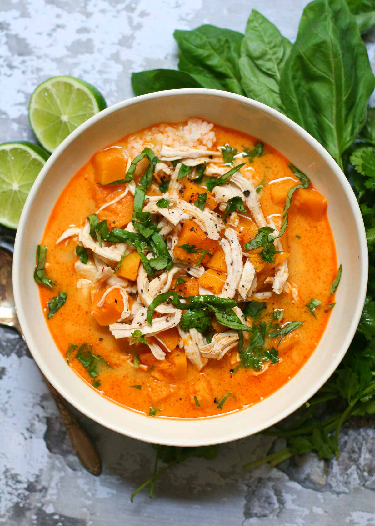 Thai Red Curry with Butternut Squash and Chicken | www.ericajulson.com